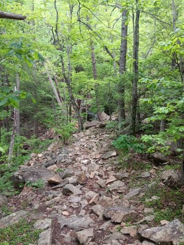 Chestnut Mountain Bluff