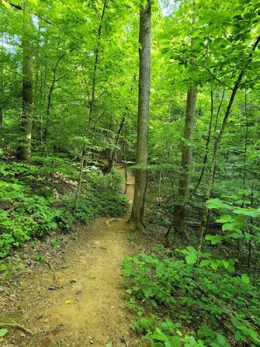 Clemmer Trailhead
