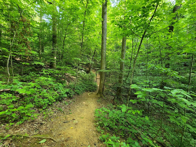 Clemmer Trailhead - Reliance, TN