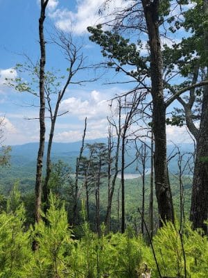 Clemmer Trailhead