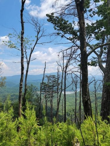 Clemmer Trailhead