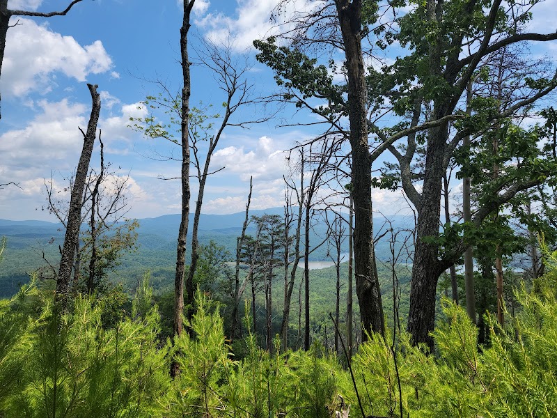 Clemmer Trailhead - Reliance, TN