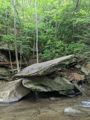 Goforth Creek Trailhead
