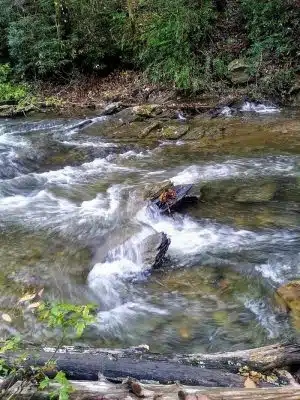 Goforth Creek Trailhead