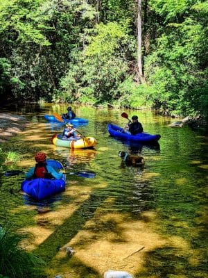 Towee Creek Recreation Area
