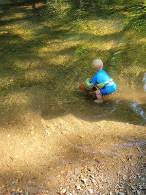 Towee Creek Recreation Area