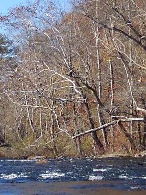 Towee Creek Recreation Area