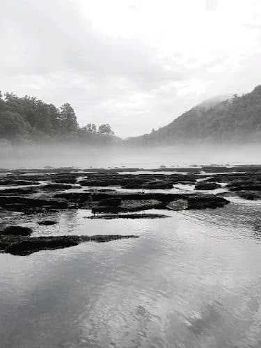 Towee Creek Recreation Area