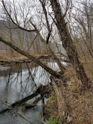Towee Creek Recreation Area