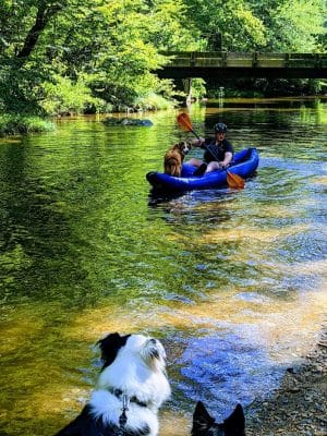 Towee Creek Recreation Area