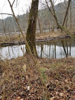 Towee Creek Recreation Area