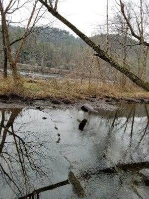 Towee Creek Recreation Area