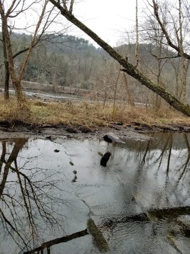 Towee Creek Recreation Area