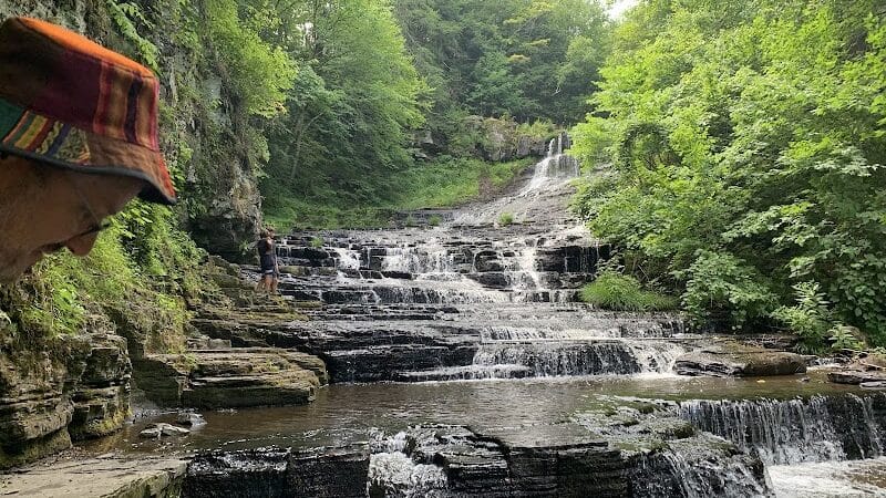 E.N. Huyck Preserve - Rensselaerville, NY