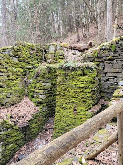 E.N. Huyck Preserve - Rensselaerville, NY