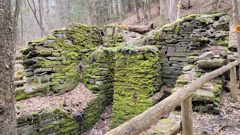 E.N. Huyck Preserve - Rensselaerville, NY