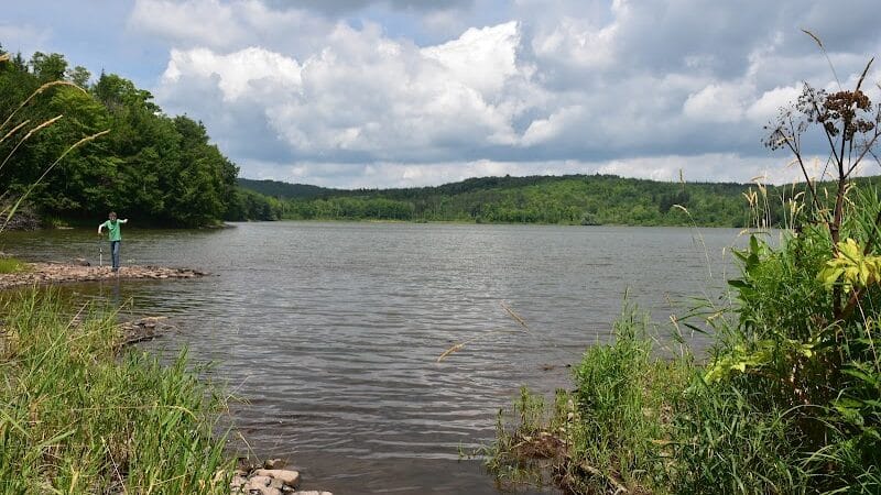E.N. Huyck Preserve - Rensselaerville, NY