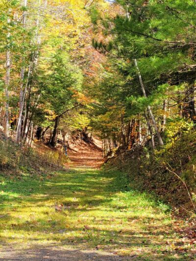 E.N. Huyck Preserve - Rensselaerville, NY