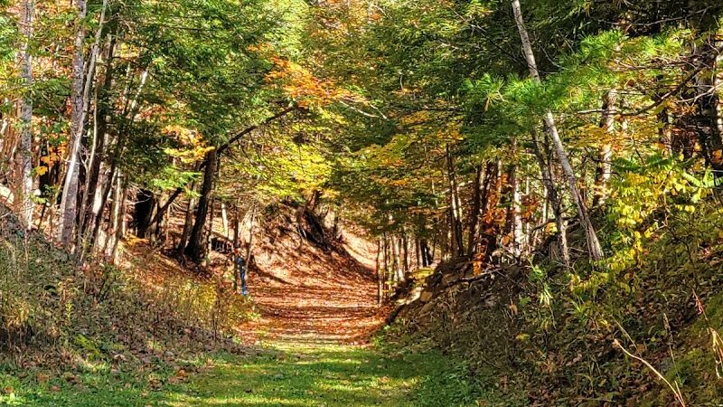 E.N. Huyck Preserve - Rensselaerville, NY