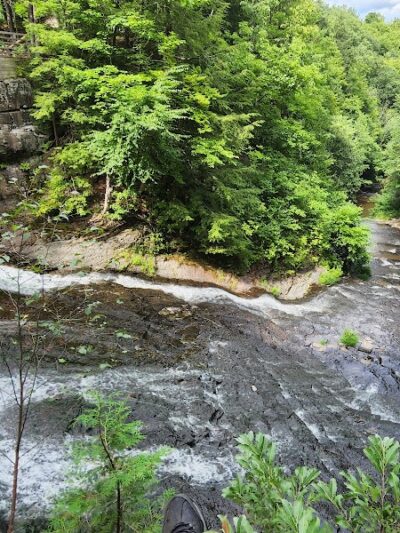E.N. Huyck Preserve - Rensselaerville, NY