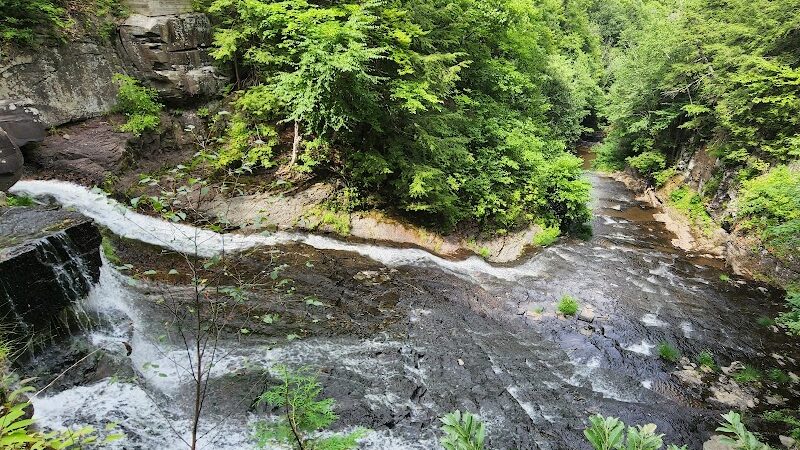 E.N. Huyck Preserve - Rensselaerville, NY