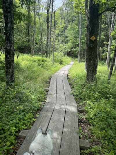 E.N. Huyck Preserve - Rensselaerville, NY