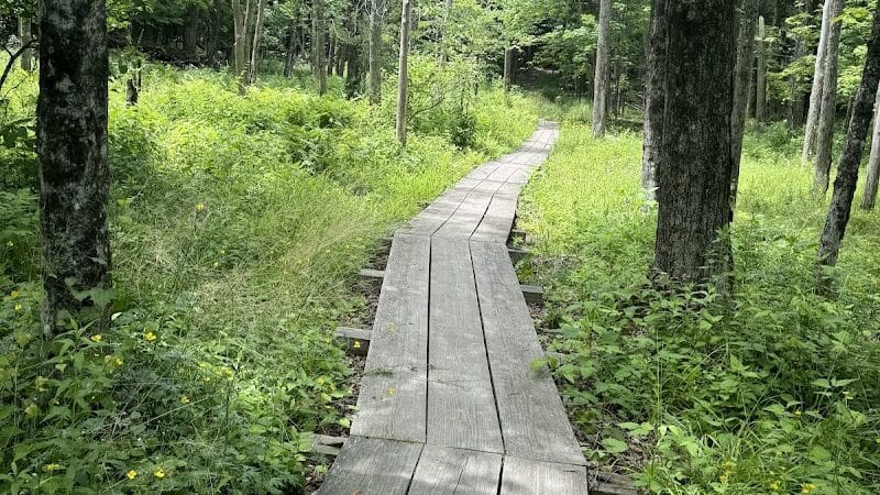 E.N. Huyck Preserve - Rensselaerville, NY