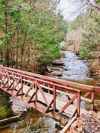 E.N. Huyck Preserve - Rensselaerville, NY