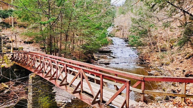 E.N. Huyck Preserve - Rensselaerville, NY