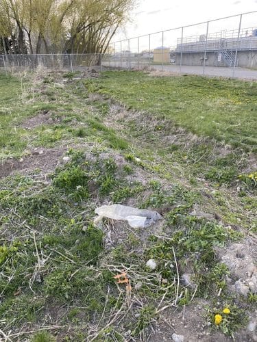 Nature Park Dog Park