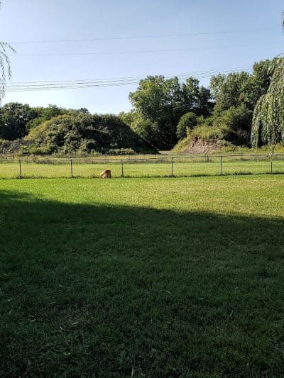 Mary Jane Row Dog Park - Rexford, NY