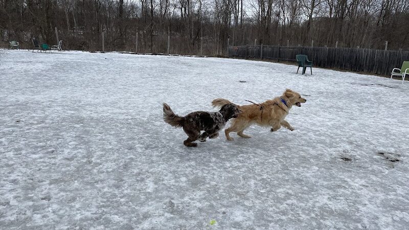 Rhinebeck & Red Hook Dog Park - Rhinebeck, NY