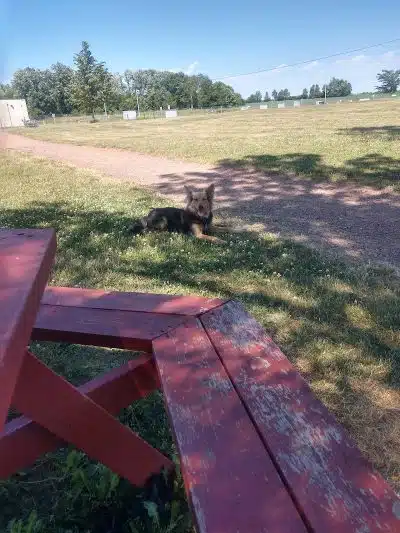 Rice Lake Off Leash Dog Park - Rice Lake, WI