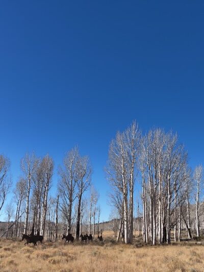 Doctor Creek Trailhead - Richfield, UT