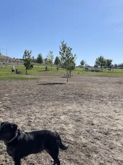 Paws-abilities Place - Richland, WA