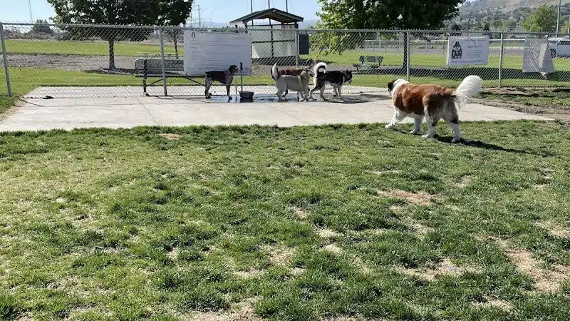 Paws-abilities Place - Richland, WA
