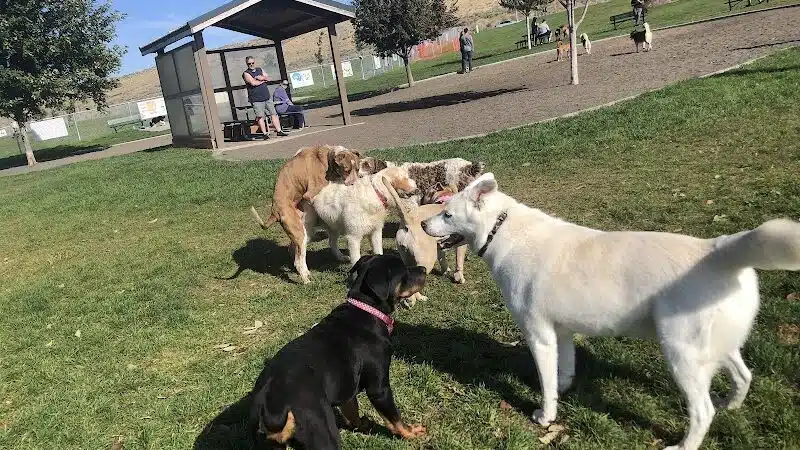 Paws-abilities Place - Richland, WA