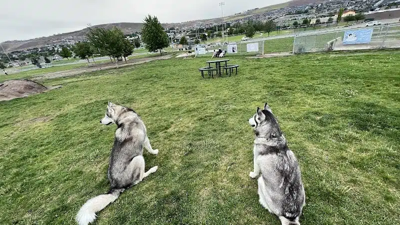 Paws-abilities Place - Richland, WA