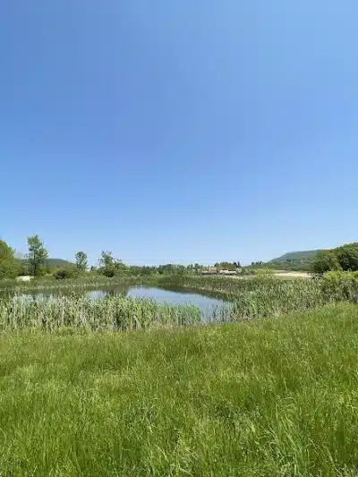 Cobleskill Creek Trail - Richmondville, NY