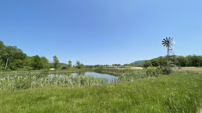 Cobleskill Creek Trail - Richmondville, NY