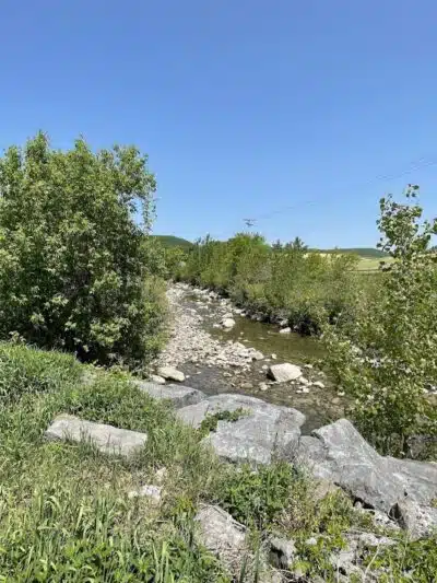 Cobleskill Creek Trail - Richmondville, NY