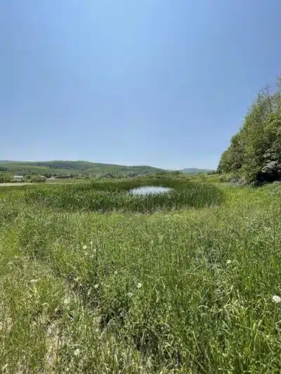 Cobleskill Creek Trail - Richmondville, NY