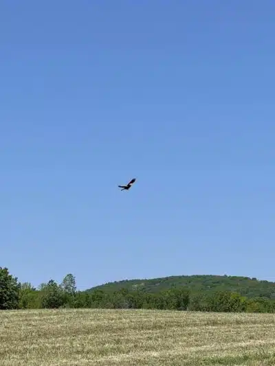 Cobleskill Creek Trail - Richmondville, NY