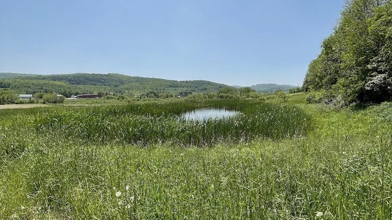 Cobleskill Creek Trail - Richmondville, NY