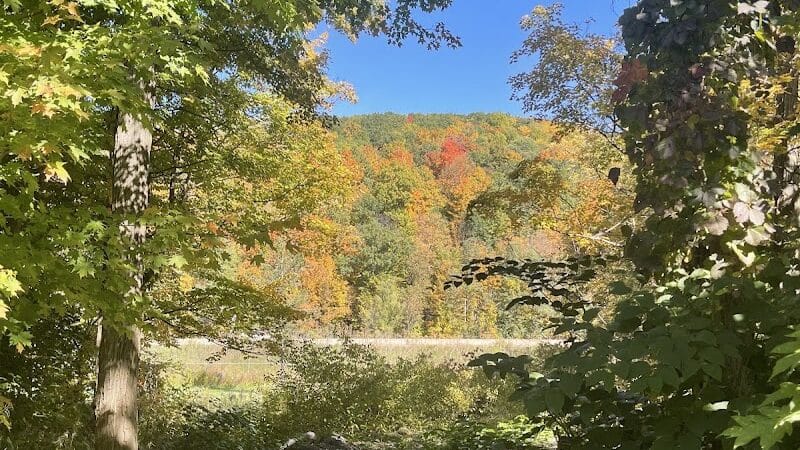 Richmondville community park - Richmondville, NY