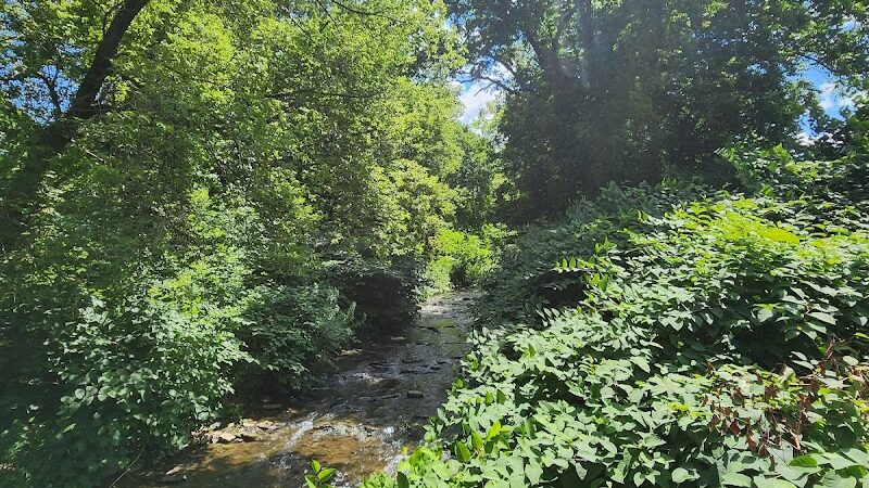 Richmondville community park - Richmondville, NY
