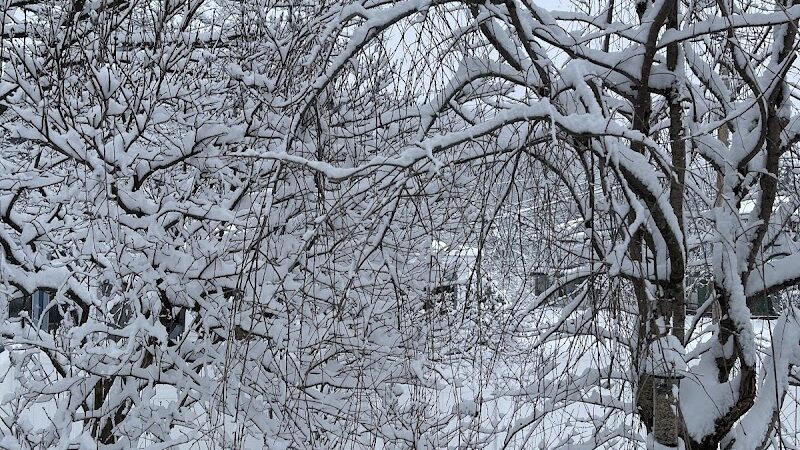 Richmondville community park - Richmondville, NY