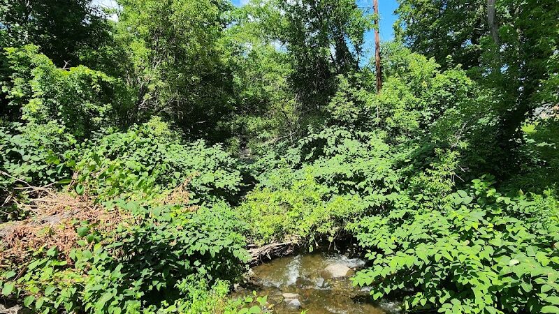 Richmondville community park - Richmondville, NY