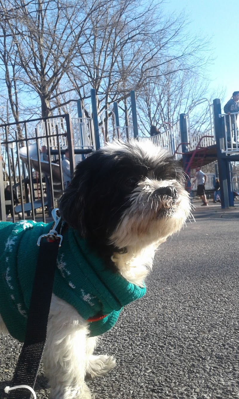 Joseph F. Mafera Park - Ridgewood, NY