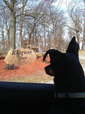Ridgway Park - Ridgway, IL